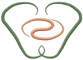 Holistische Coaching | Hypnose, Voetreflex & Meer